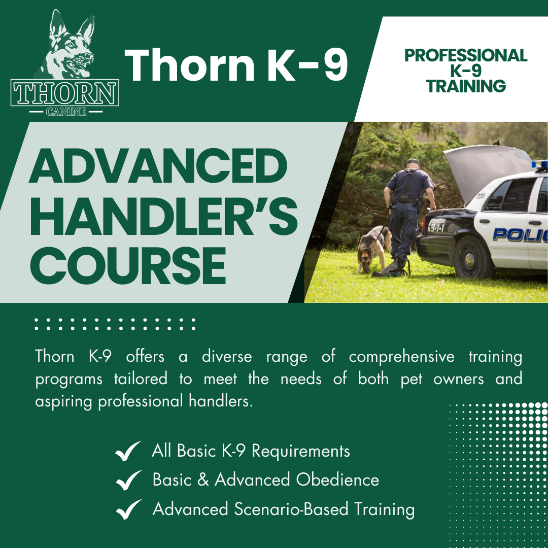 Advanced Handler's Course